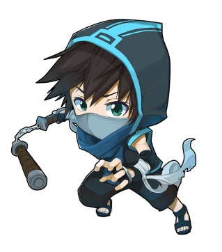 Ninja Fighter